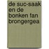 De Suc-saak En De Bonken Fan Brongergea
