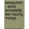 Leespuntnl - Serie Amsteldijk. Een Keurig Meisje door Marian Hoefnagel