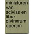 Miniaturen Van Scivias En Liber Divinorum Operum