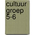 Cultuur Groep 5-6