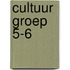 Cultuur groep 5-6