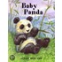Baby Panda