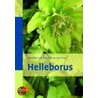 Helleborus by Hanneke van Dijk