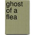 Ghost Of A Flea