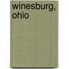 Winesburg, Ohio door Sherwood Anderson