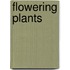 Flowering Plants