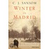 Winter in Madrid