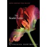 The Scarlet Letter by Yvonne Collioud Sisko