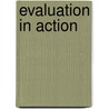 Evaluation In Action door Gillian Squirrell