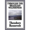 Through the Brazilian Wilderness door Theodore Roosevelt