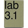 Lab 3.1 door Onbekend