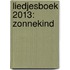 Liedjesboek 2013: zonnekind