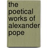 The Poetical Works Of Alexander Pope door Colley Cibber