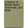 A History of British Fossil Mammals, and Birds door Richard Owen