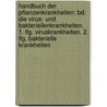 Handbuch Der Pflanzenkrankheiten: Bd. Die Virus- Und Bakteriellenkrankheiten. 1. Lfg. Viruskrankheiten. 2. Lfg. Bakterielle Krankheiten by Paul Sorauer