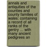 Annals And Antiquities Of The Counties And County Families Of Wales: Containing A Record Of All Ranks Of The Gentry ... With Many Ancient Pedigrees An door Thomas Nicholas