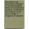Descriptive and Illustrated Catalogue of the Physiological Series of Comparative Anatomy Contained in the Museum of the Royal College of Surgeons of England by Royal College of Surgeons of Eng Museum