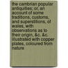 The Cambrian Popular Antiquities; Or, an Account of Some Traditions, Customs, and Superstitions, of Wales, with Observations as to Their Origin, &C. &C. Illustrated with Copper Plates, Coloured from Nature door Professor Peter Roberts