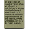 An Exposition Of Isaiah's Vision, Chap. Vi. Wherein Is Pointed Out A Strong Similitude Betwixt What Is Said In It, And Of The Infliction Of Punishments On The Papists, By The Witnesses. Rev Xi. 6. By Robert Ingram. by Dr Dr Dr (Glasgow Caledonian University