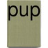 Pup
