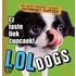 Loldogs