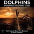 Dolphins