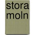 Stora Moln