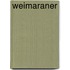 Weimaraner
