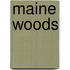 Maine Woods
