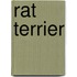Rat Terrier