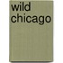 Wild Chicago