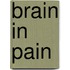 Brain in Pain