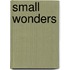 Small Wonders