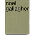 Noel Gallagher