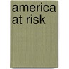 America at Risk door Robert Perrucci