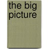 The Big Picture door Jenny Jones