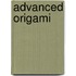 Advanced Origami