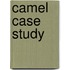 Camel Case Study