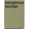 Dangerous Wonder door Michael Yaconelli