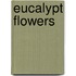 Eucalypt Flowers