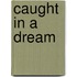 Caught in a Dream