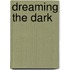 Dreaming the Dark
