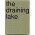 The Draining Lake