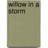 Willow in a Storm by Kathy Murphy Taylor