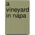 A Vineyard in Napa