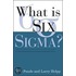 What Is Six Sigma?