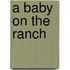 A Baby on the Ranch