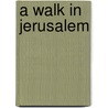 A Walk in Jerusalem door John Peterson