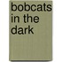 Bobcats in the Dark