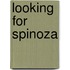 Looking for Spinoza